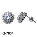 Nueva joyería de plata de los pendientes de la manera del diseño 925 (Q-7834. JPG)
